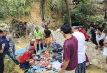 Screenshot 20230630 093440 WhatsApp