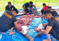 Screenshot 20230630 095202 WhatsApp