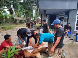 Screenshot 20230630 190410 WhatsApp