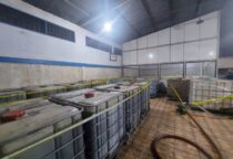 Screenshot 20230805 173017 WhatsApp