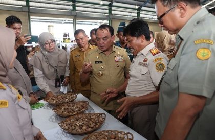 Screenshot 20240129 225517 WhatsApp