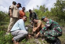 Screenshot 20240201 135345 Samsung Internet