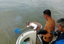 Screenshot 20240220 183731 WhatsApp