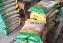 Screenshot 20240303 214022 WhatsApp