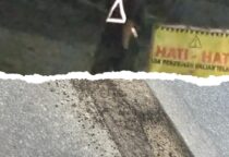 GridArt 20240426 235424782