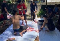 Screenshot 20240617 182006 WhatsApp