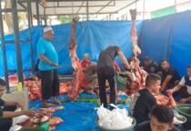 Screenshot 20240617 182333 WhatsApp