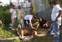 Screenshot 20240619 162337 Gallery