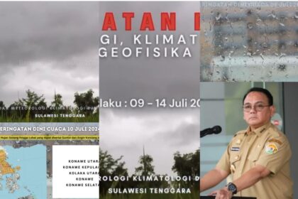 InCollage 20240708 231201069