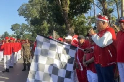 Screenshot 20240814 001047 Gallery