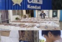 Screenshot 20240922 105936 WhatsApp