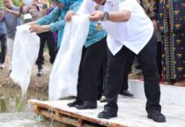 Screenshot 20241114 210904 WhatsApp