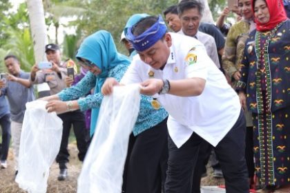 Screenshot 20241114 210904 WhatsApp