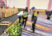 Screenshot 20241206 100205 WhatsApp