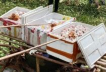 Screenshot 20241206 104221 WhatsApp