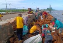 Screenshot 20250209 115136 WhatsApp