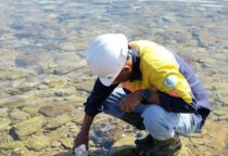 Ket gambar: Sedimenpond