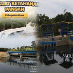 InCollage 20260213 104233583