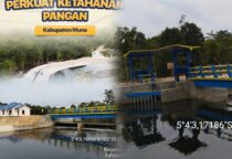 InCollage 20260213 104233583