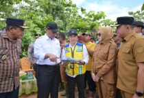 IMG 20260512 WA0101