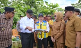 IMG 20260512 WA0101