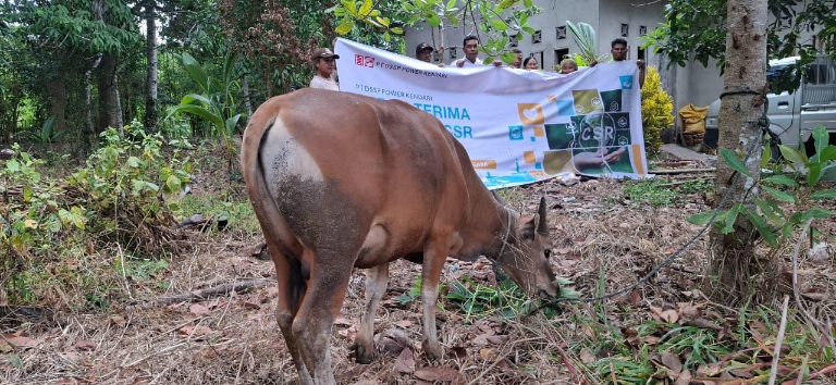 Dari PLTU ke Pelosok Desa, DSSP Power Tebar Kebahagiaan Kurban 2 IMG 20260609 WA0123