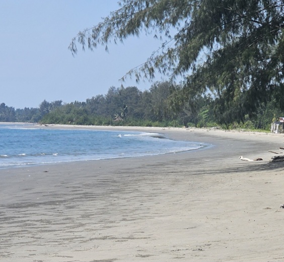 Wisata Bahari Konawe Utara Makin Bergairah, Pantai Wale di Ulusawa Jadi Magnet Baru 3 Screenshot 20260711 070801 Gallery