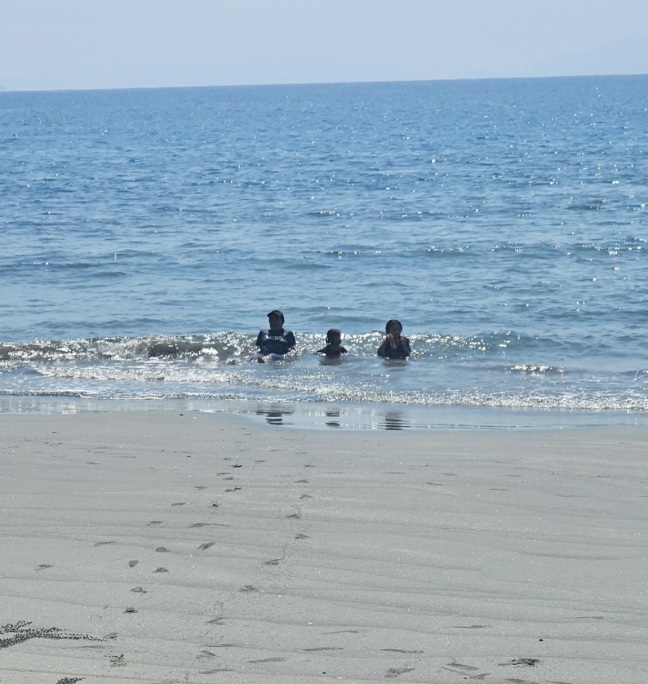 Wisata Bahari Konawe Utara Makin Bergairah, Pantai Wale di Ulusawa Jadi Magnet Baru 4 Screenshot 20260711 070806 Gallery