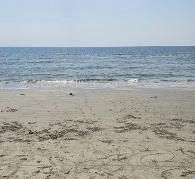 Wisata Bahari Konawe Utara Makin Bergairah, Pantai Wale di Ulusawa Jadi Magnet Baru 6 Screenshot 20260711 070812 Gallery