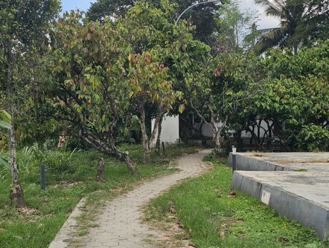 Kampung Cokelat Kolaka Bersiap Bangkit, Agrowisata yang Pernah Berjaya Menanti Sentuhan Baru 8 Screenshot 20260720 233353 Gallery