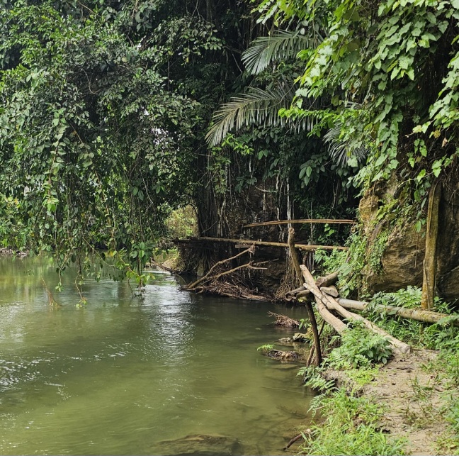 Kolaka Utara Tak Mau Lagi Hanya Jadi Daerah Persinggahan, Wisata Jelajah Alam Sungai Batu Putih Kini Disiapkan Jadi Mesin Ekonomi Baru 4 Screenshot 20260721 142002 Gallery