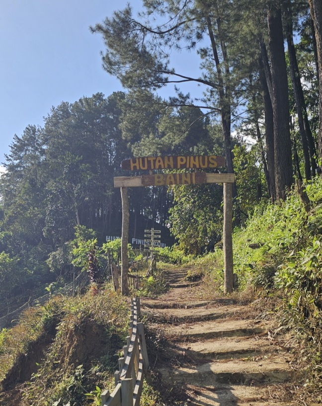 Bukan Sekadar Camping, Hutan Pinus Baini Simpan Potensi Geowisata dan Budaya yang Belum Tergali 5 Screenshot 20260721 194655 Gallery