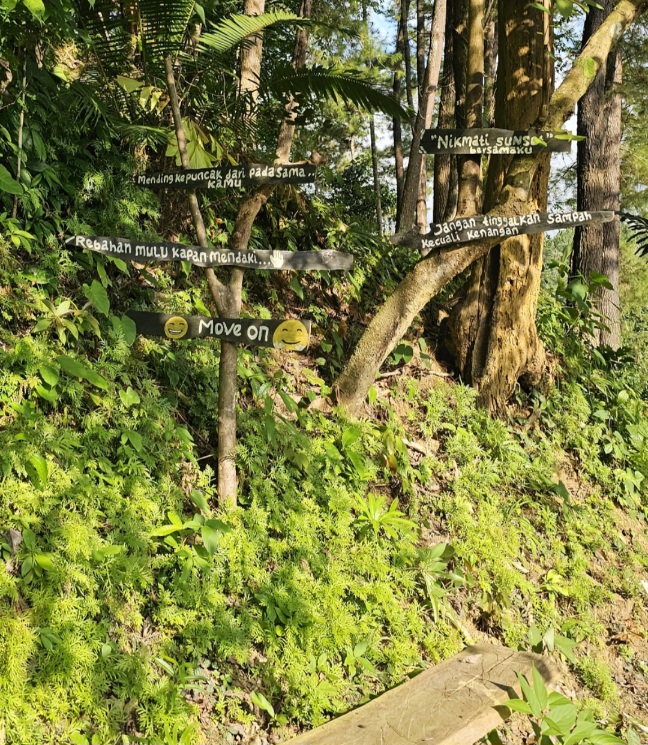 Bukan Sekadar Camping, Hutan Pinus Baini Simpan Potensi Geowisata dan Budaya yang Belum Tergali 6 Screenshot 20260721 194819 Gallery
