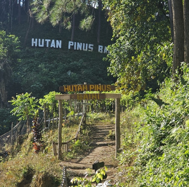 Bukan Sekadar Camping, Hutan Pinus Baini Simpan Potensi Geowisata dan Budaya yang Belum Tergali 2 Screenshot 20260721 194939 Gallery